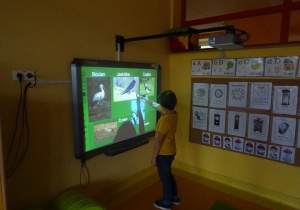 Chłopiec stoi przy tablicy w prawej uniesionej dłoni trzyma wskaźnik skierowany na jaskółkę.
